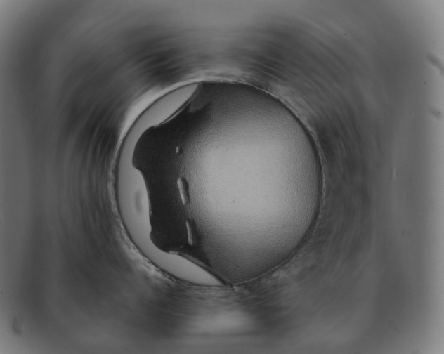 X0000091490960200709131828