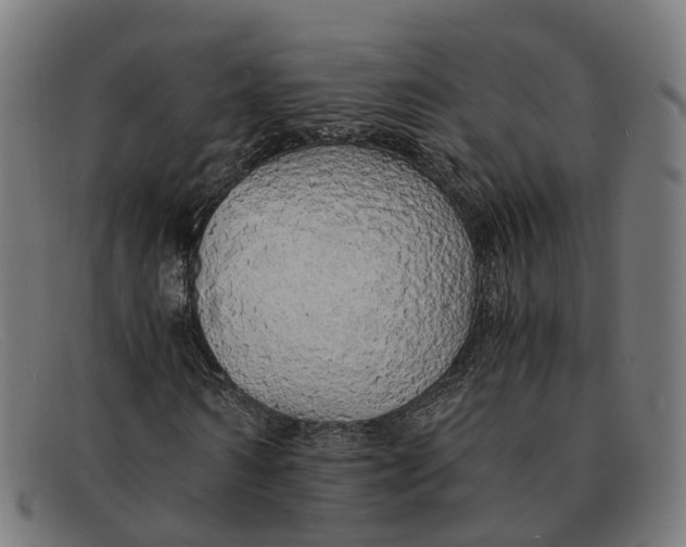X0000091490962200709131827