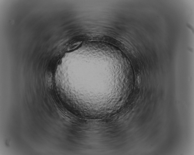 X0000091490963200709131827