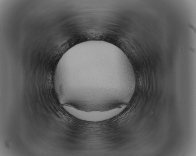 X0000091490964200709131827