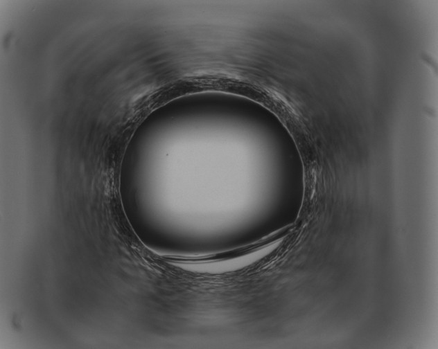 X0000091490965200709131827