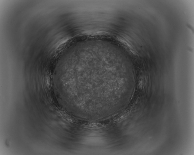 X0000091490966200709131827