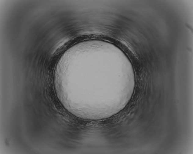 X0000091490967200709131827