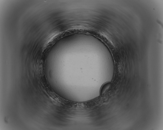 X0000091490968200709131827