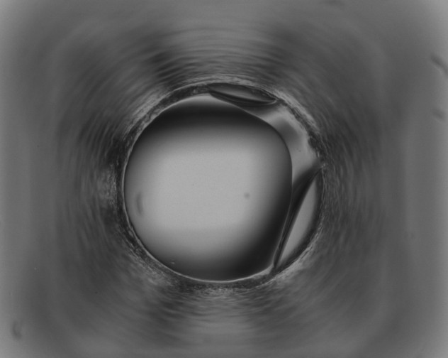 X0000091490969200709131827