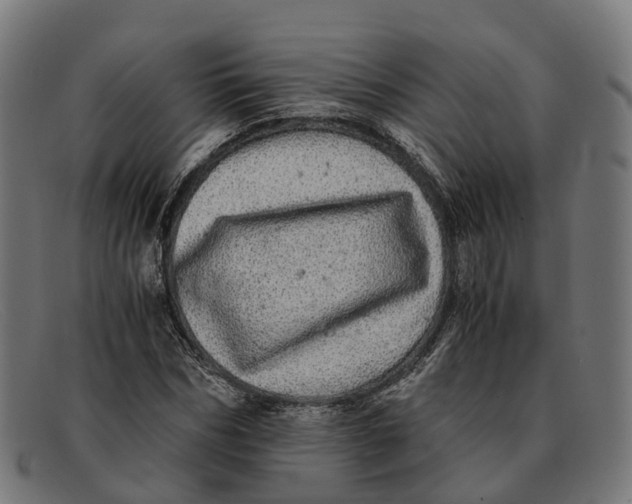 X0000091490970200709131827