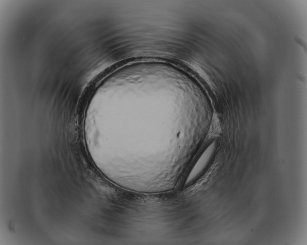 X0000091490971200709131827