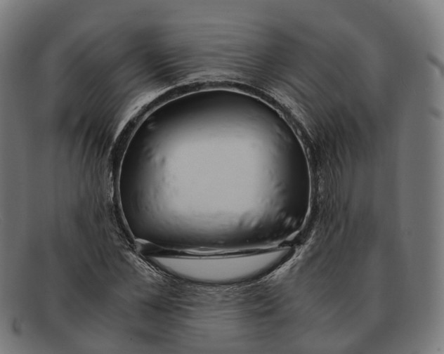 X0000091490973200709131827