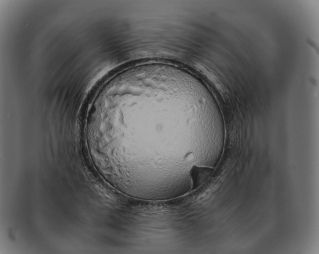 X0000091490975200709131827