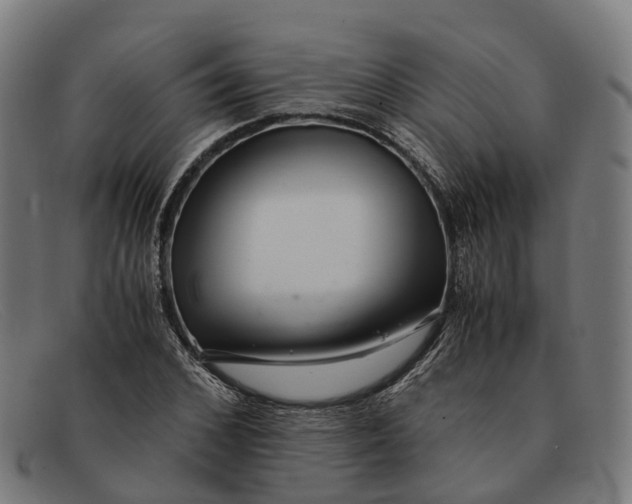 X0000091490976200709131827