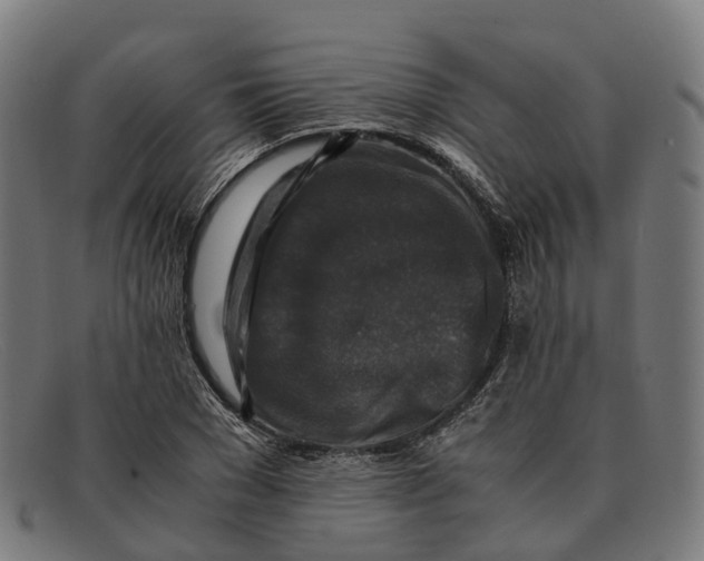 X0000091490977200709131827