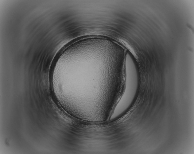 X0000091490980200709131827