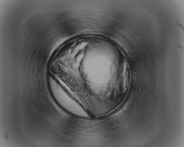X0000091490981200709131827