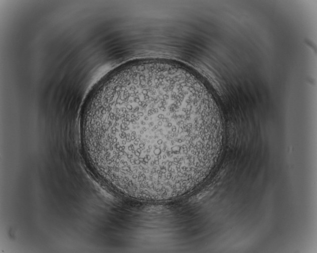 X0000091490982200709131827