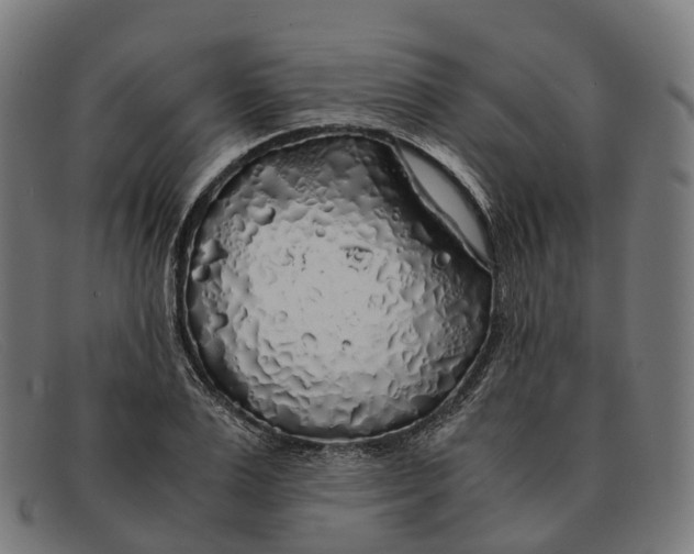 X0000091490983200709131827