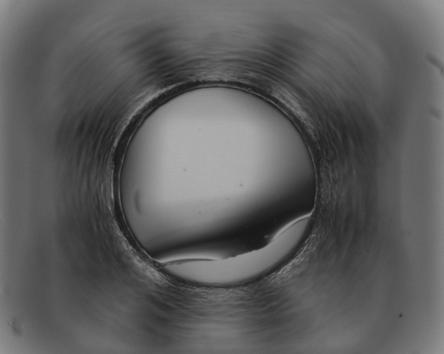 X0000091490984200709131827