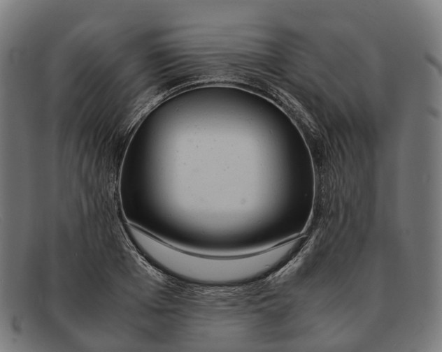 X0000091490985200709131827