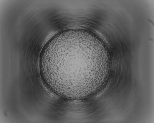 X0000091490986200709131827