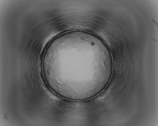 X0000091490987200709131827