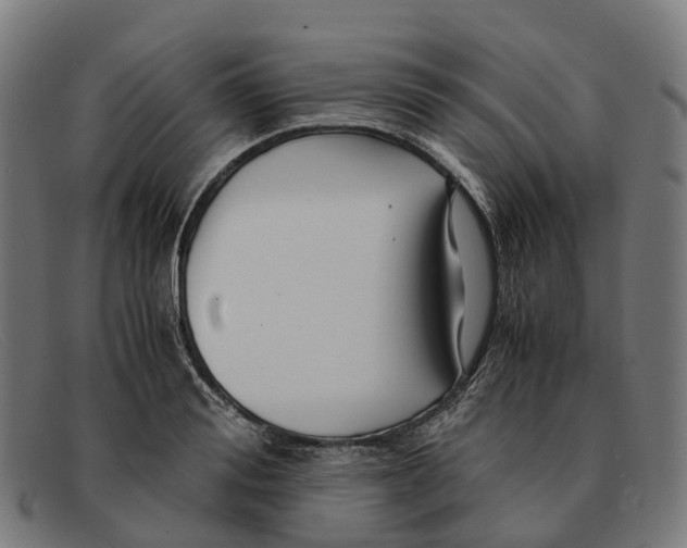 X0000091490988200709131827