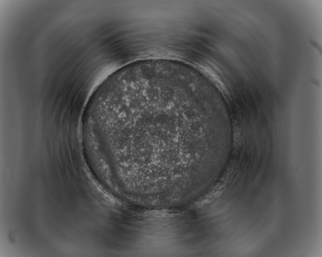 X0000091490990200709131827