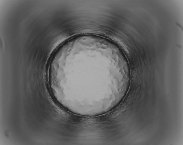 X0000091490991200709131827