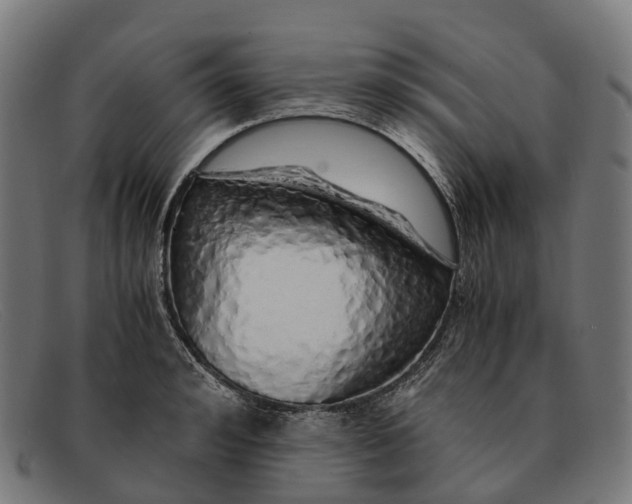 X0000091490992200709131827