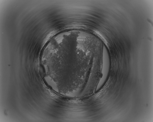 X0000091490994200709131827