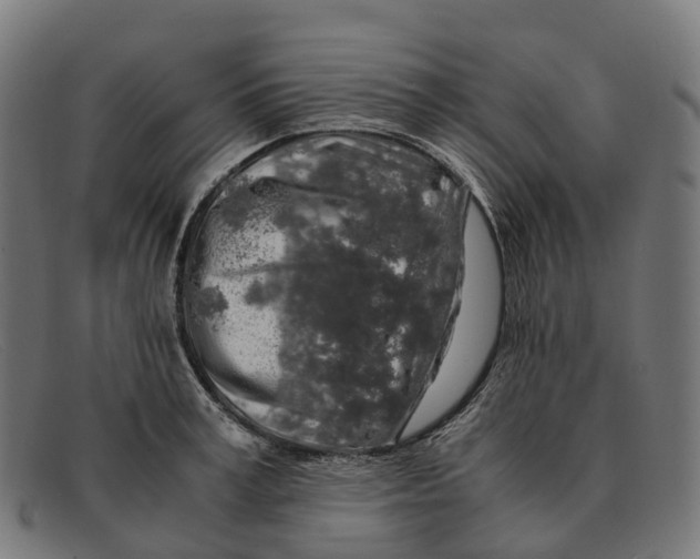X0000091490995200709131827