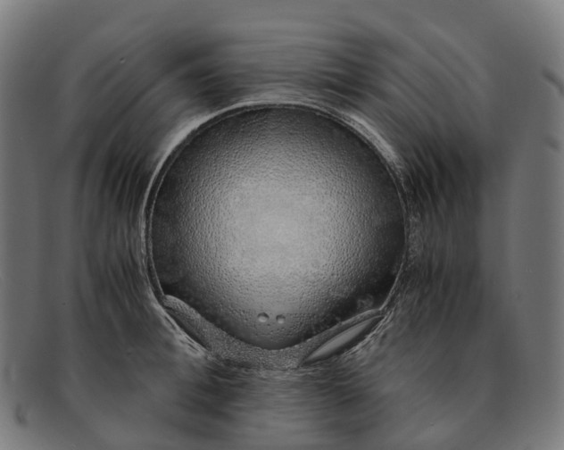 X0000091490996200709131827