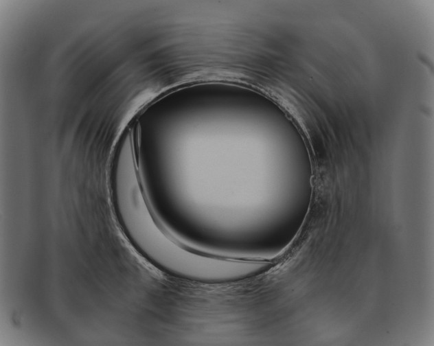 X0000091490997200709131827