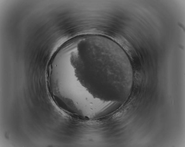X0000091490998200709131827