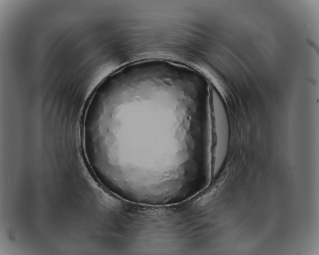 X0000091490999200709131827