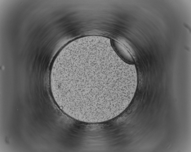 X0000091491000200709131827