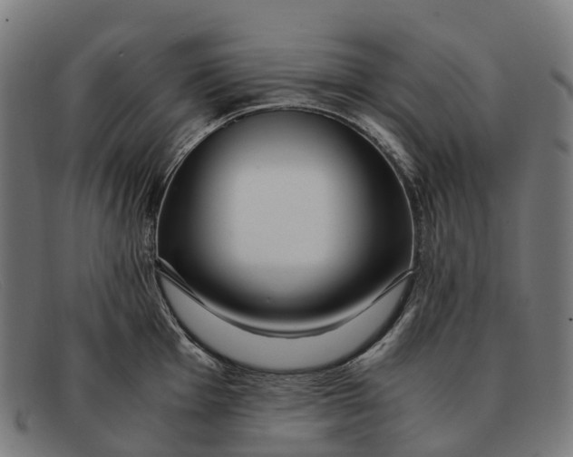 X0000091491001200709131827