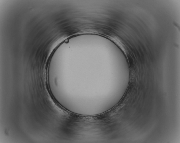 X0000091491003200709131827