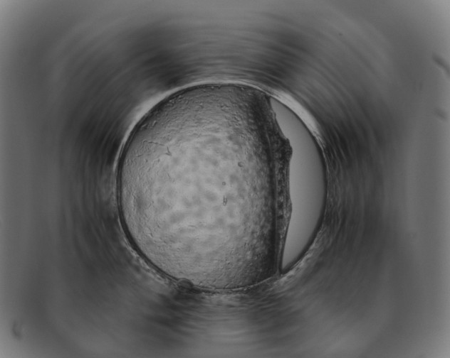 X0000091491004200709131827
