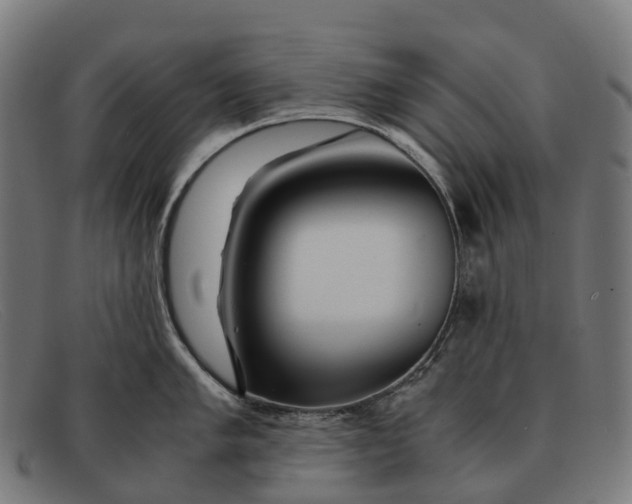 X0000091491005200709131827