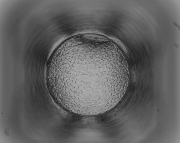 X0000091491006200709131827