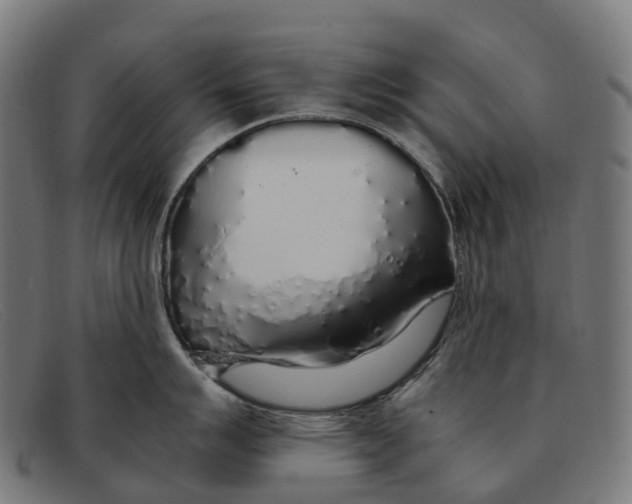 X0000091491007200709131827