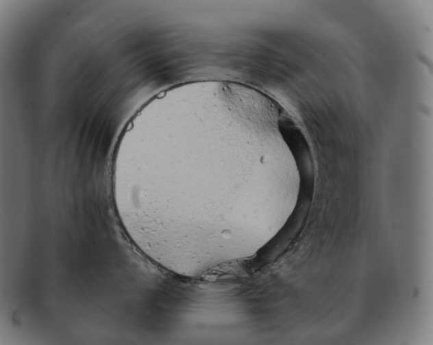 X0000091491008200709131827
