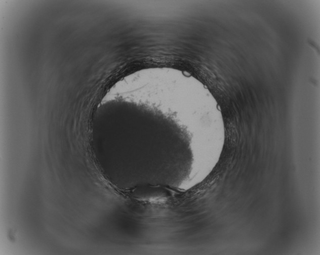 X0000091491009200709131826