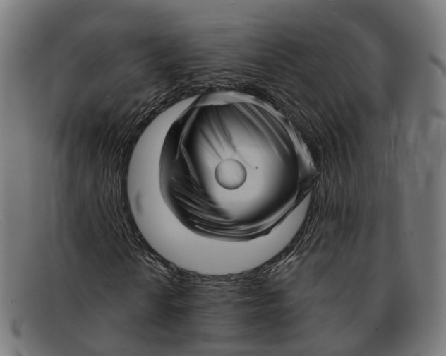 X0000091491010200709131826