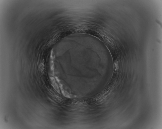 X0000091491011200709131826