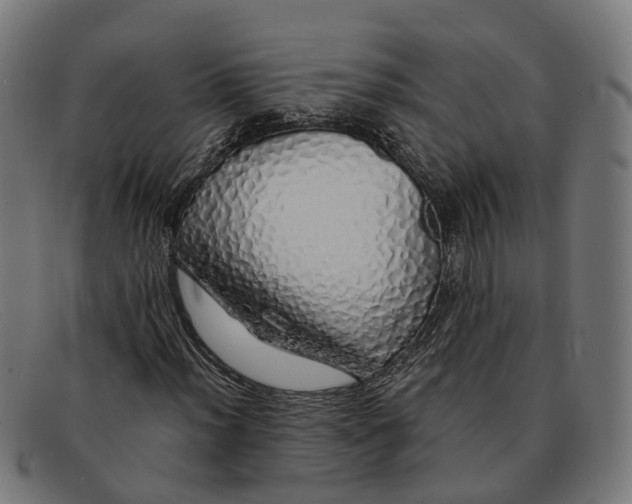 X0000091491012200709131826