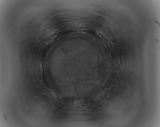 X0000091491013200709131826