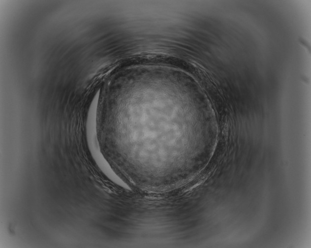 X0000091491014200709131826