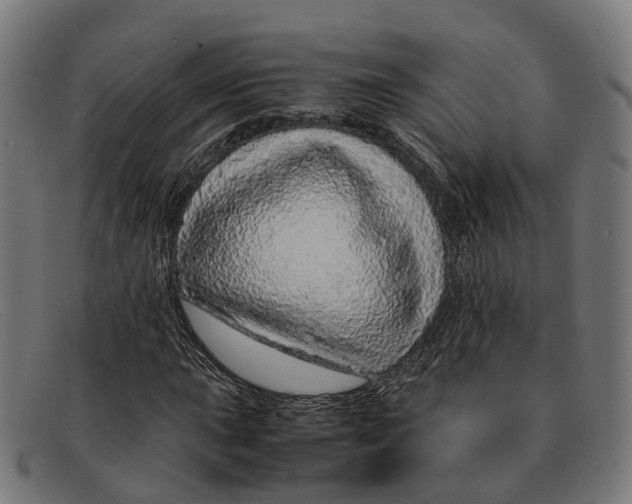 X0000091491015200709131826