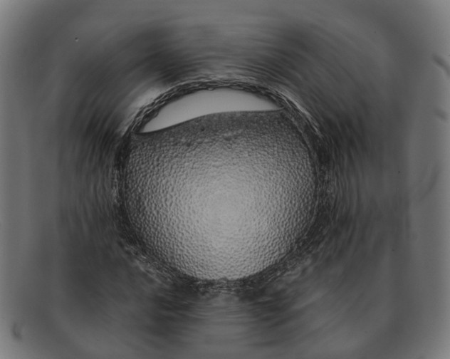 X0000091491016200709131826