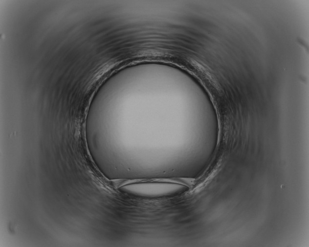 X0000091491017200709131826